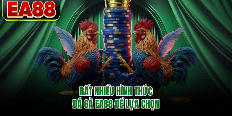 Rất nhiều hình thức đá gà EA88 để lựa chọn
