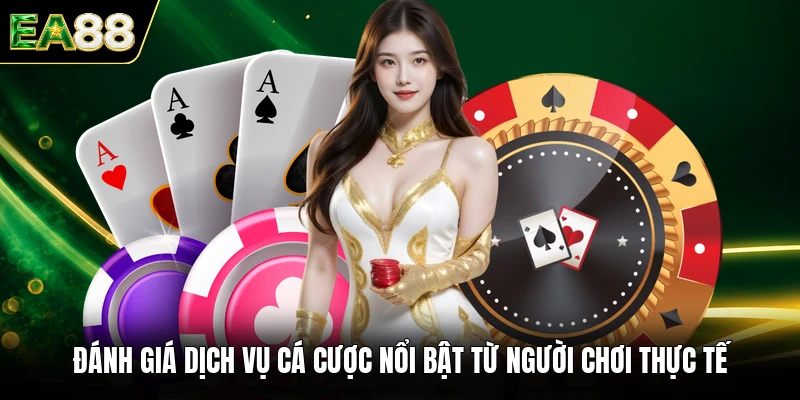 Đánh giá dịch vụ cá cược nổi bật từ người chơi thực tế